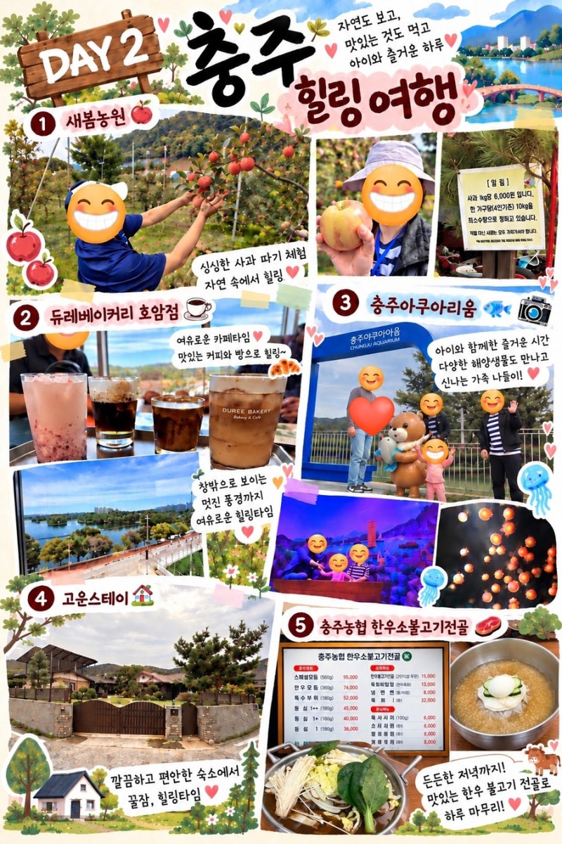 국내 여행 2일차 충주 여행 편 (새봄농원 사과 따기 체험, 듀레베이커리 호암점, 충주 아쿠아....