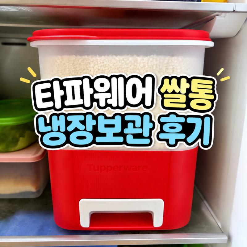냉장보관 쌀통 추천, 쌀 보관 방법 고민하다 선택한 타파웨어 쌀통 5kg 냉장고 보관 후기