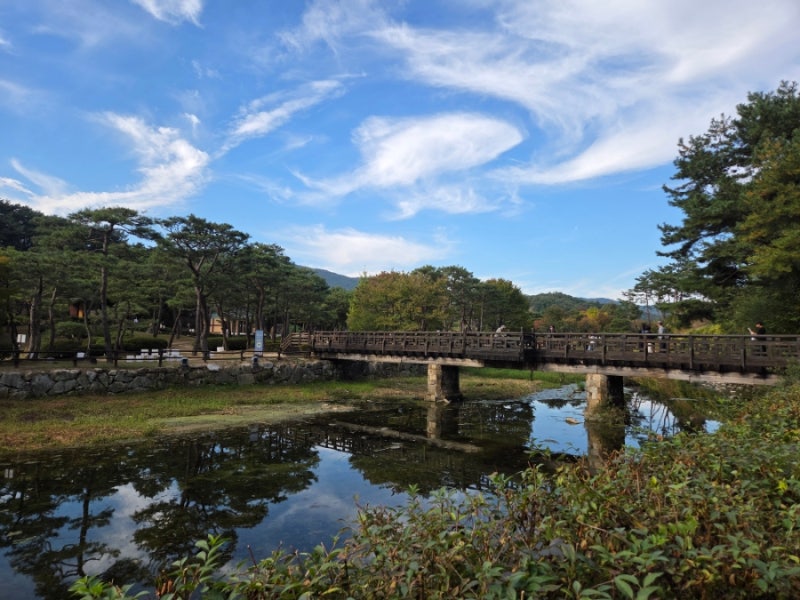 영주반값여행/영주가볼만한곳 나드리/소수서원/금성대군신단/정도너츠/영주한우프라자 여....