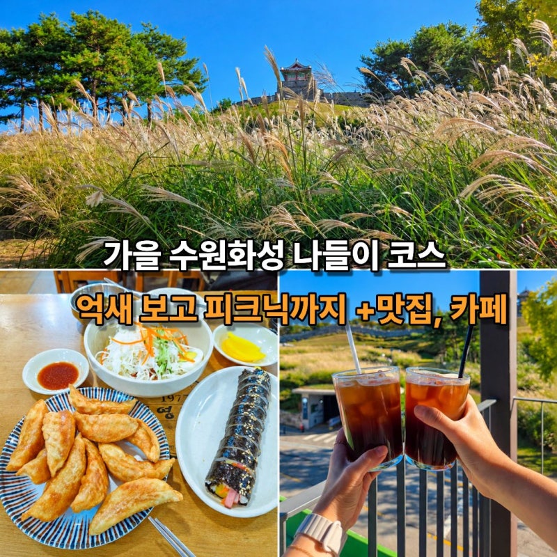 가을나들이 코스 수원화성성곽길 억새명소 실시간 방화수류정피크닉