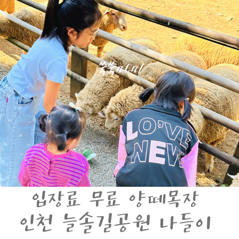[인천아이와가볼만한곳] 무료 양떼목장이 있는 인천 늘솔길공원! 21개월 아기의 먹이주기 체....