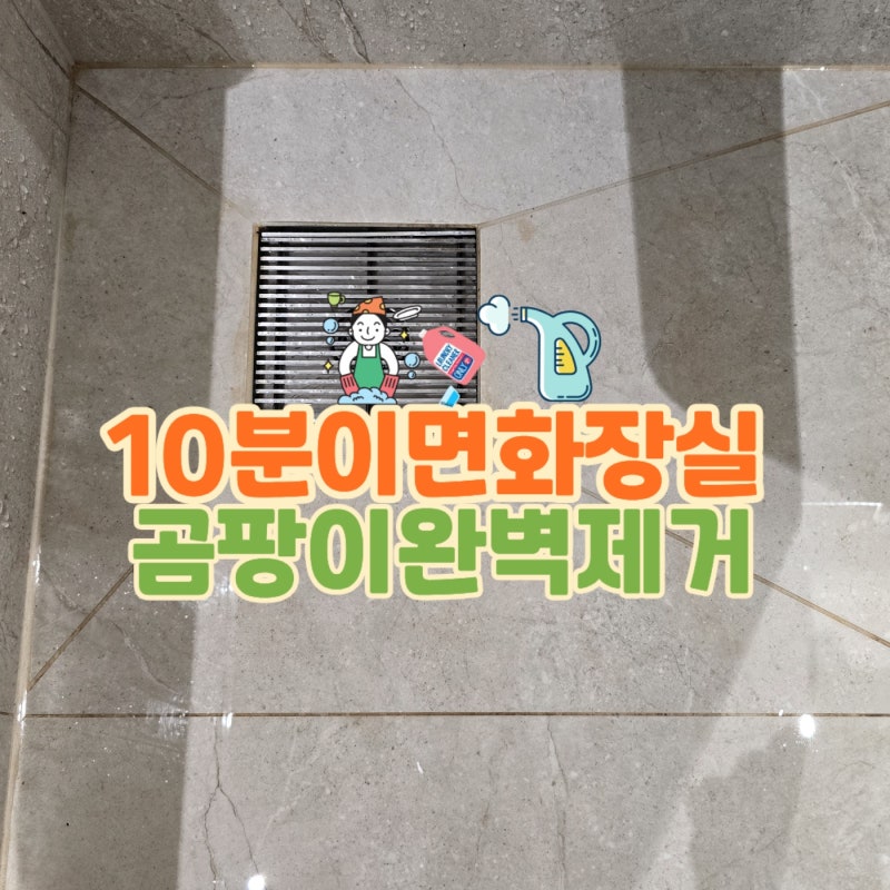 10분 만에 물때 곰팡이 제거! 화장실 락스 청소 방법