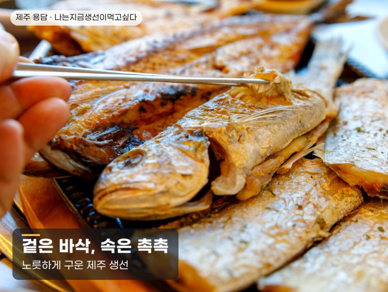 '나는지금생선이먹고싶다' | 제주공항근처맛집 제주생선구이맛집, 도착하자마자 첫끼로 간 ....