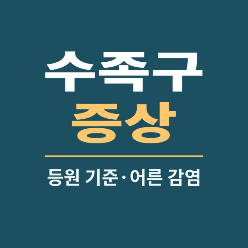 수족구 증상 총정리, 진행 순서와 등원 기준·어른 감염까지