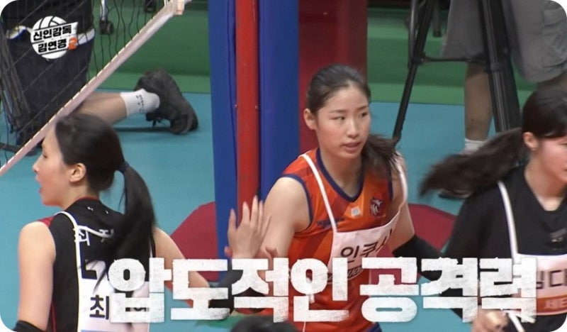 라인업 선수 시즌2 원더독스 김연경2 총정리