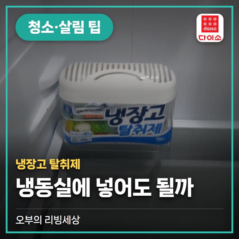 다이소 냉장고 탈취제 위치와 교체시기, 냉동실에 넣어도 될까요