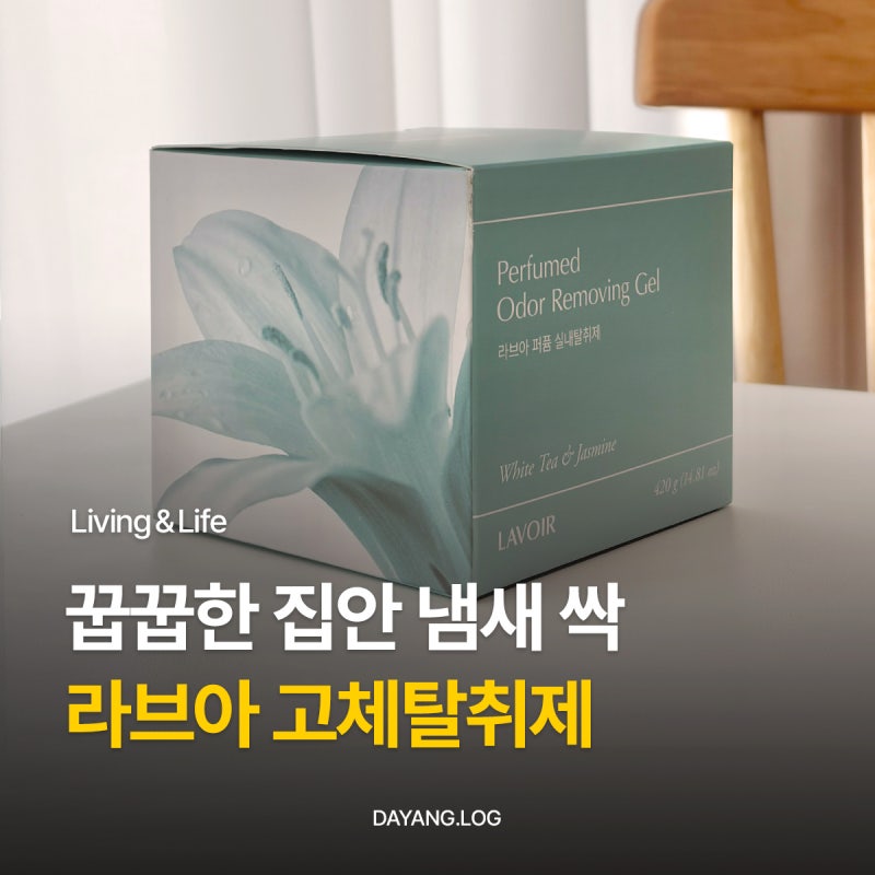 은은한 잔향이 매력적인 라브아 고체탈취제 거실 옷장 신발장 냄새 관리 후기 추천