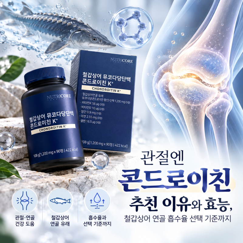 관절엔 콘드로이친 추천 이유와 효능, 철갑상어 연골 흡수율 선택 기준까지
