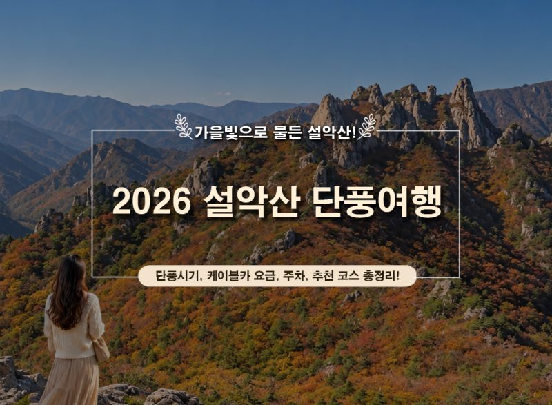 2026 설악산 단풍 시기｜케이블카 요금·예약·주차·가을 여행 코스