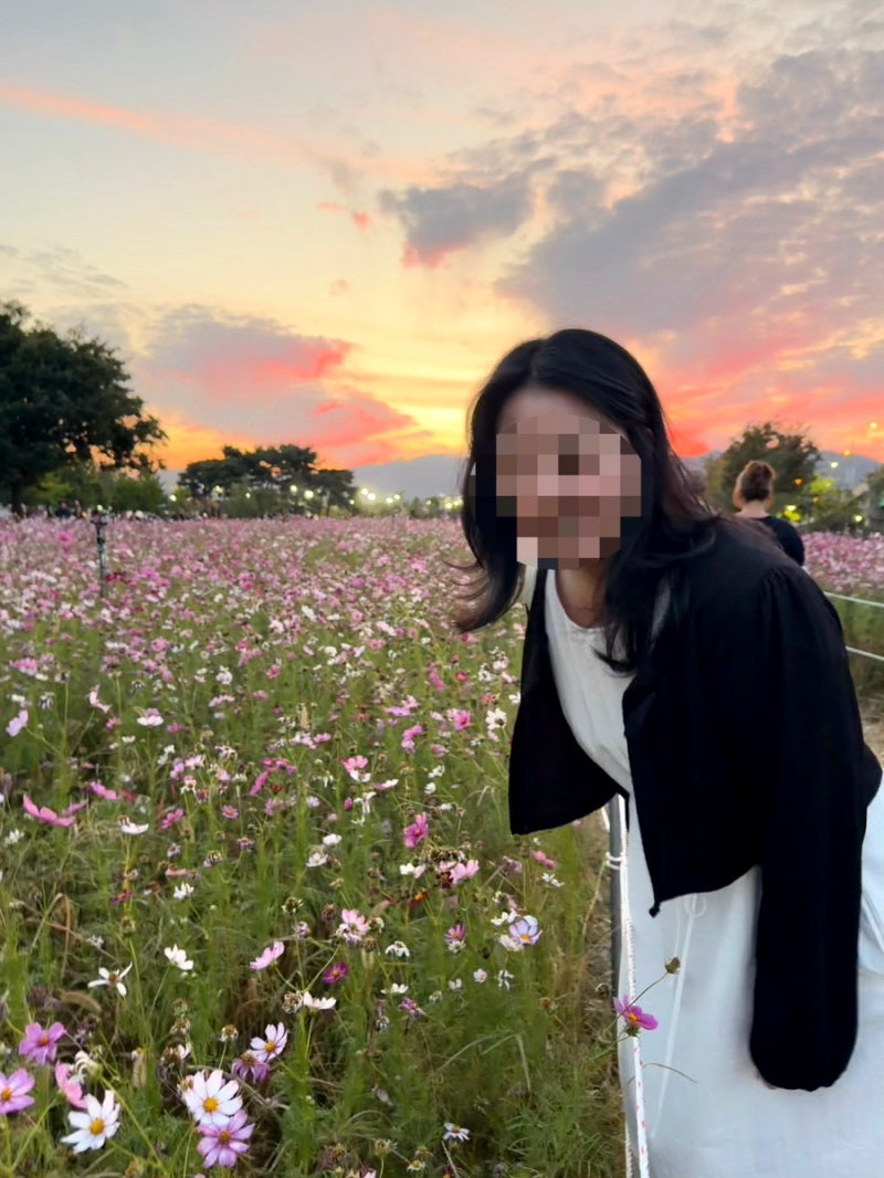 구리한강시민공원/ 구리코스모스축제/ 주차 꿀팁/ 서울근교나들이