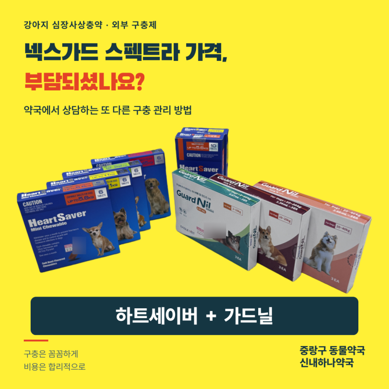 넥스가드 스펙트라 가격 부담될 때, 강아지 심장사상충약 하트세이버·가드닐｜중랑구 신내....