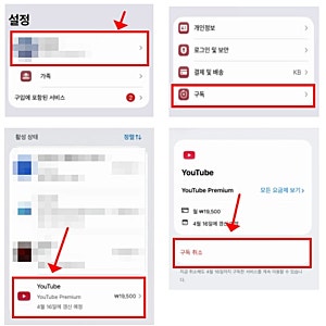 유튜브 프리미엄 라이트 백그라운드 재생 가격 8500원 차이점 정리