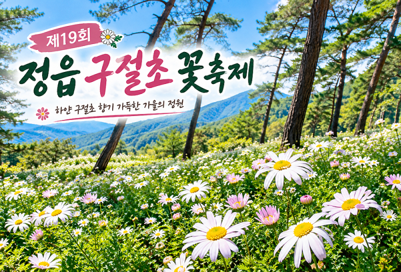전북 가볼만한곳 정읍 구절초꽃축제 여행 추천
