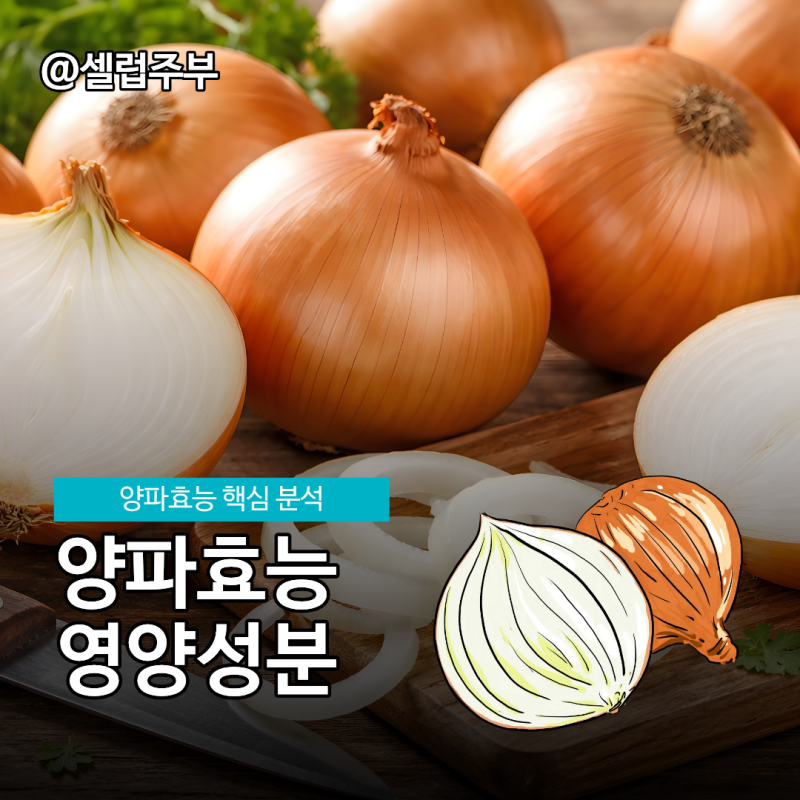 양파효능 만큼 궁금했던 익혀서 먹는 방법