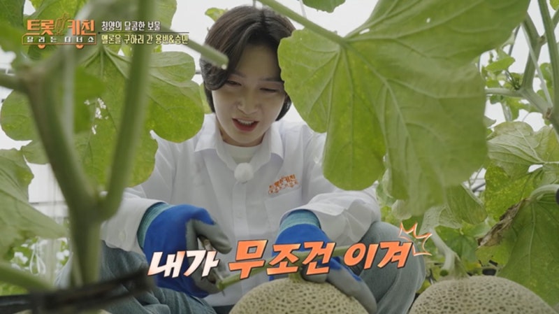 '트롯 키친 달리는 디너쇼' 김용빈 "'바보 같은 사람', 뺏고 싶은 노래" 고백에 남승민 "내 노....