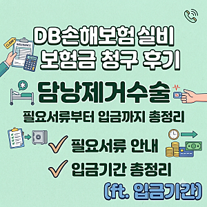 DB손해보험 담낭제거수술 실비 보험금 수령후기(ft.청구방법, 필요서류, 입금기간)