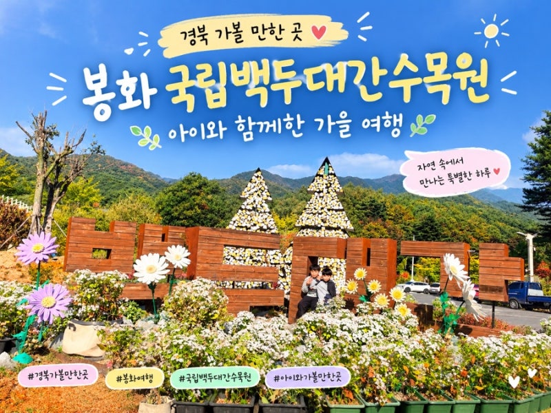 경북 가볼 만한 곳, 봉화 국립백두대간수목원 아이와 가을 여행