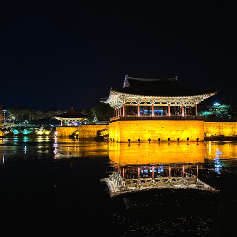 경주 야경 명소 동궁과 월지 주차 꿀팁·입장료·소요시간 총정리