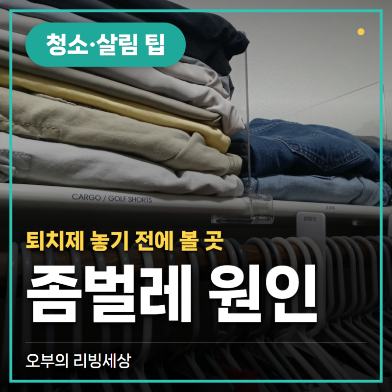 좀벌레 원인, 한 마리 봤다면 퇴치제 놓기 전에 볼 곳 (습도·먹이·틈)