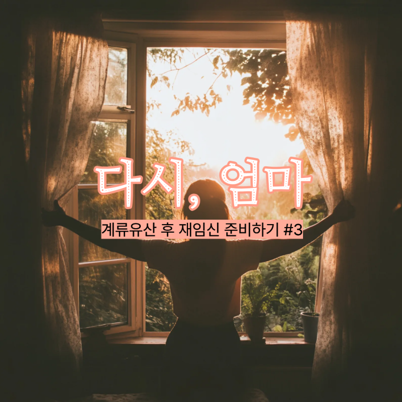 다시 엄마 | 계류유산 후 재 임신 준비하기 PART 3. 재임신을 위한 엄마아빠 체크리스트