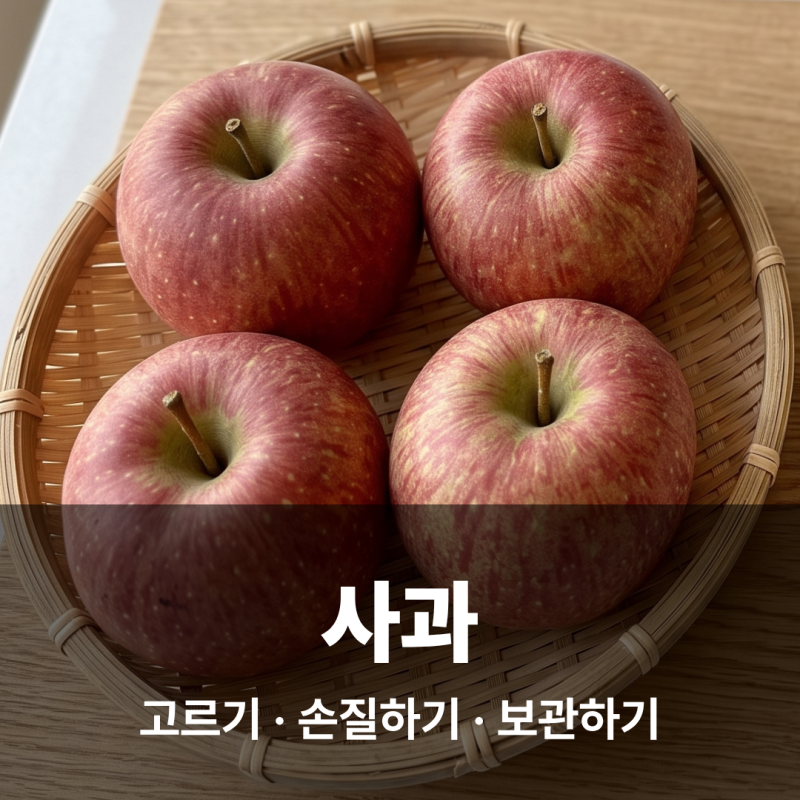 사과 보관법 손질법 고르는 법 | 갈변 없이 아삭하게 먹는 꿀팁