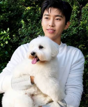 꽃동강아지 분양가 얼마일까? 임영웅 강아지로 유명한 꼬똥 드 툴레아 알아봤어요