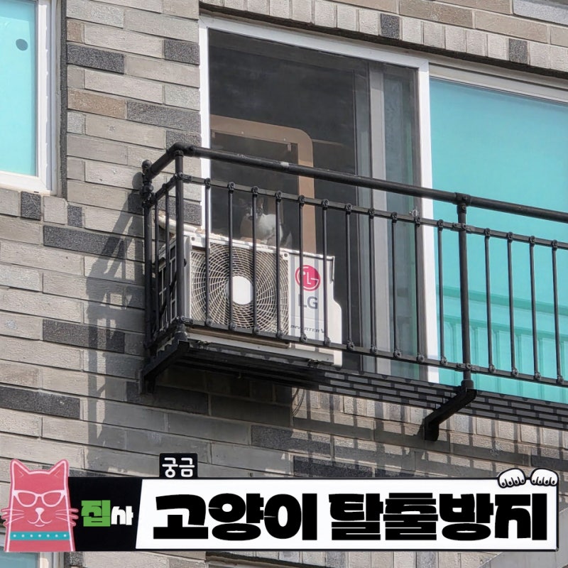 고양이 입양 전 필수 준비물, 장난감보다 먼저 안전문부터 확인하세요