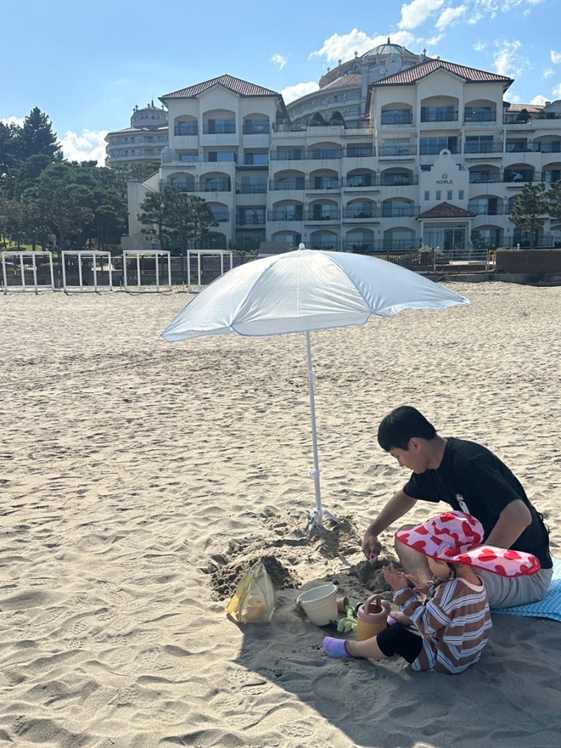 아이랑 양양 당일치기 종결 코스! 맛집부터 바다·워터파크·감성카페까지 ✨ (저장 필수)