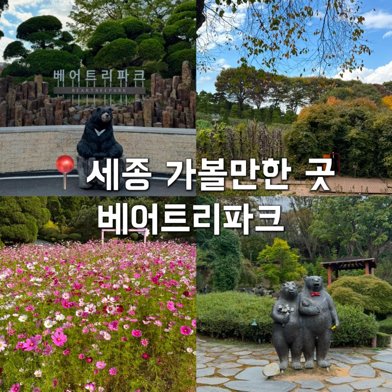 세종 베어트리파크 후기｜입장료·주차·가을 나들이 추천