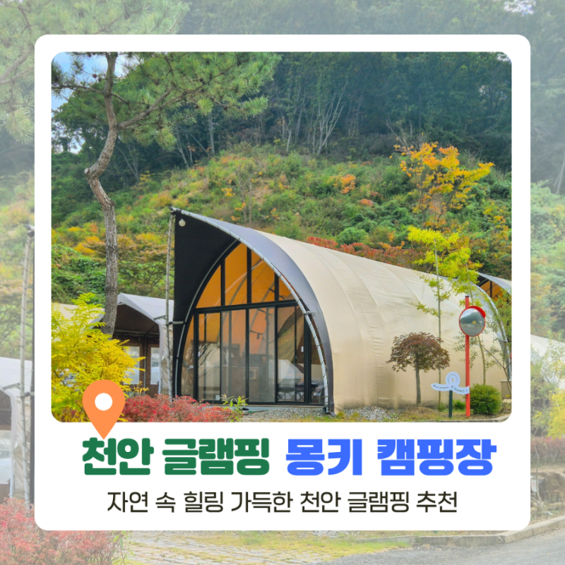 천안 글램핑 몽키캠핑 가족 캠핑장 천안 여행 숙소 추천