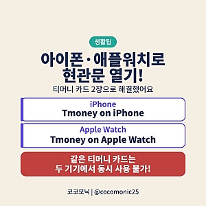 아이폰·애플워치 티머니로 현관문 열기! 카드 2장 등록부터 해킹 보안까지 직접 사용 후기