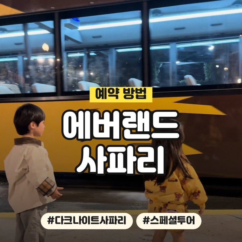 에버랜드 사파리 예약 방법, 스페셜 투어·다크나이트 사파리 뒷자리 팁