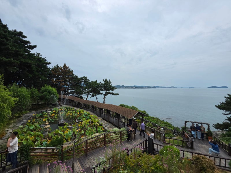 보령 아이와 가볼만한곳｜죽도 상화원·용두해수욕장 모래놀이, 추석 가족여행 후기