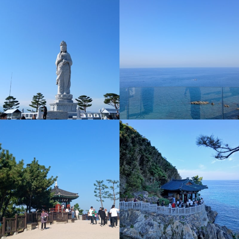 강원도 양양 가볼만한곳 낙산사 주차팁 입장료 볼거리 오션뷰 절