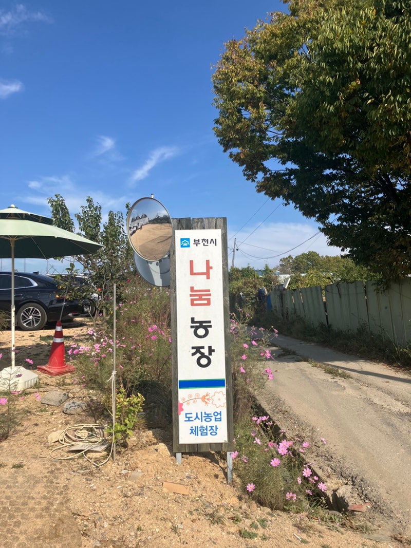부천에서 아이와 가볼 만한 곳 ㅣ 오정구 나눔농장 ㅣ 동물 먹이주기 체험