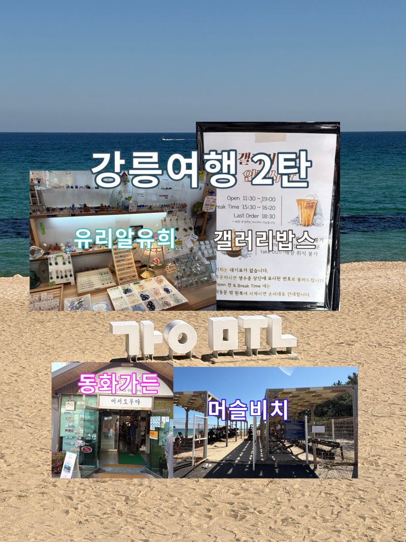 강릉 여행 2일차 코스 추천! 강문해변부터 강릉 핫플까지 알차게!