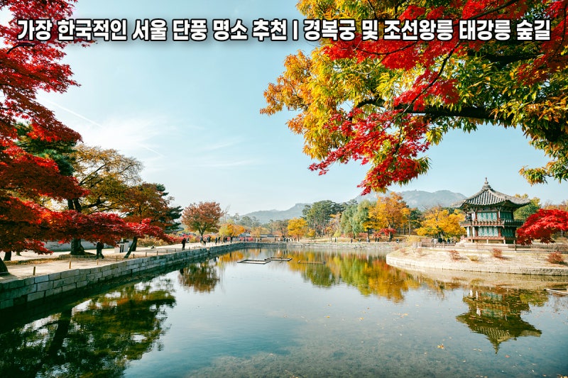 가장 한국적인 서울 단풍 명소 추천 I 경복궁 및 조선왕릉 태강릉 숲길