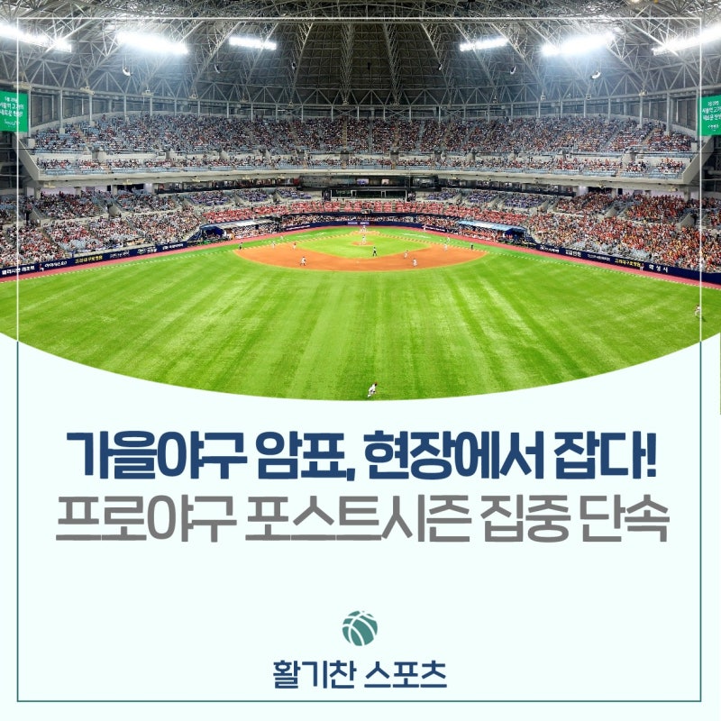 가을야구 암표, 현장에서 직접 잡는다!⚾ 프로야구 포스트시즌 암표 집중 단속 시행!