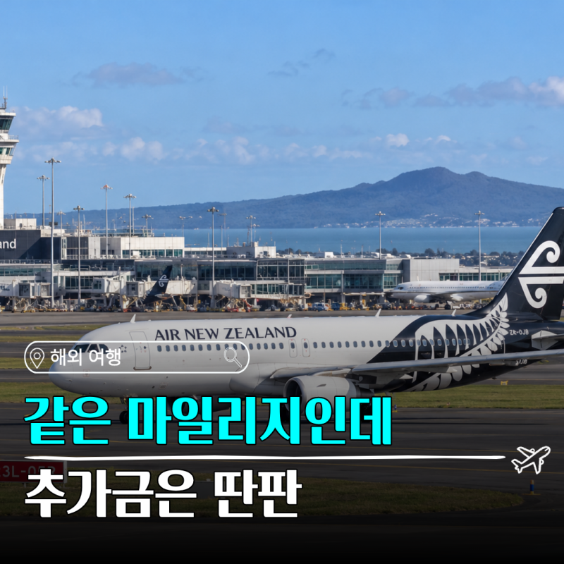 "같은 마일리지인데 추가금은 딴판" 스타얼라이언 오세아니아, 아프리카 항공사 비교