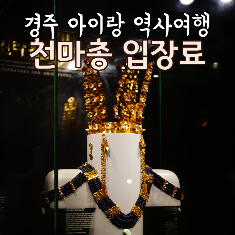 천마총 입장료 주차장 내부 아이랑 역사여행