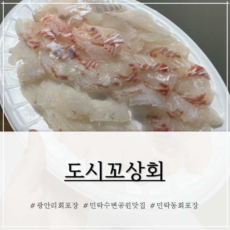 광안리 민락동회포장 맛집 도시꼬상회 ㅣ 민락수변공원 회센터 후기