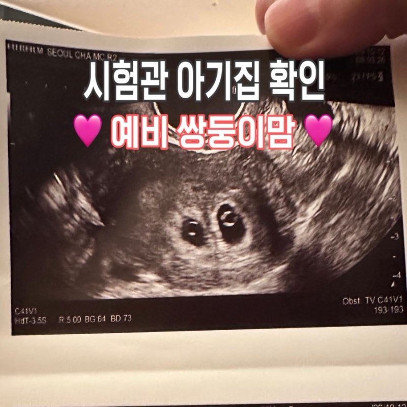 시험관 쌍둥이 아기집 확인, 심장 움직임부터 임신확인서 발급까지