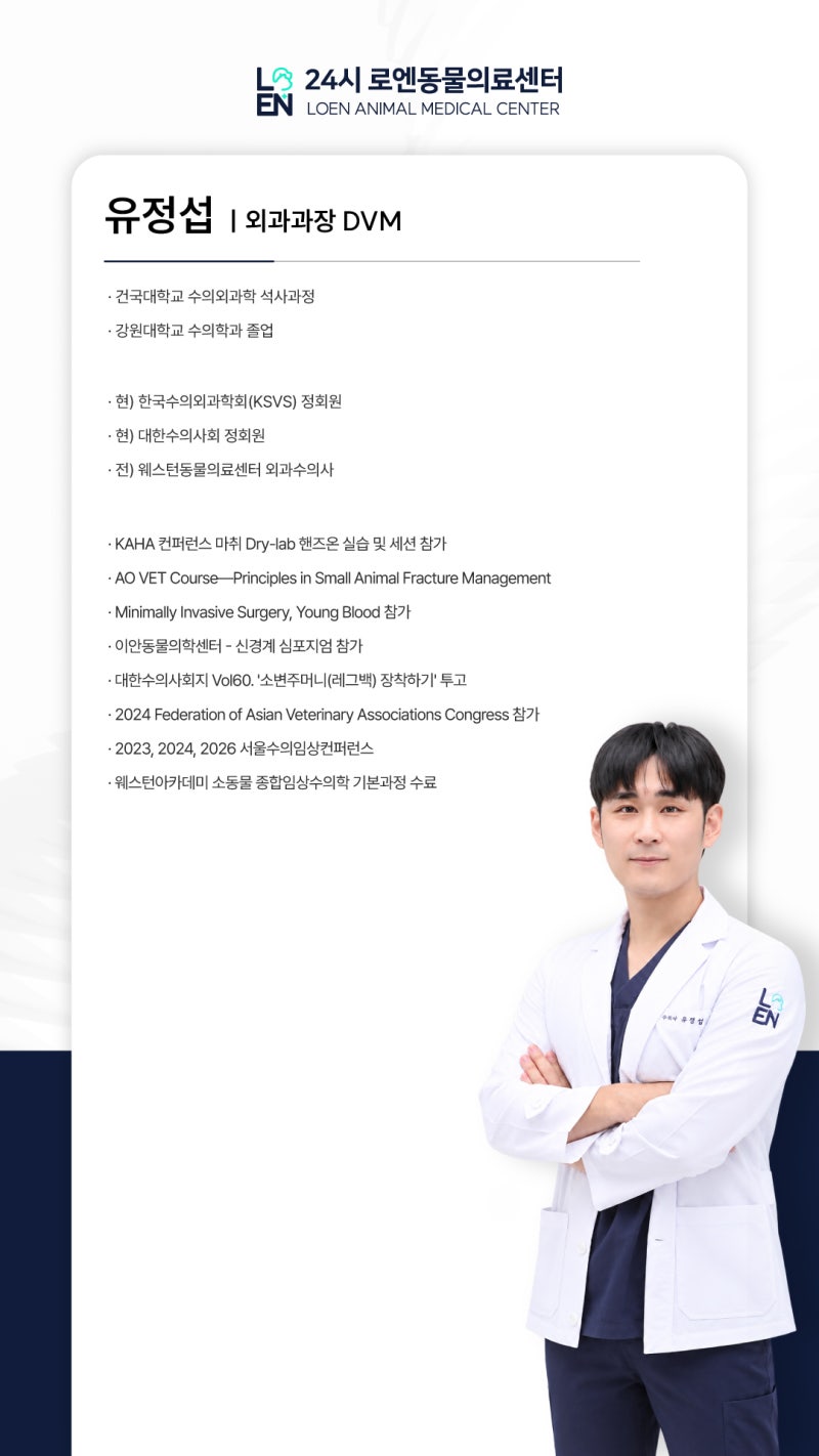 파주동물병원, 24시 로엔동물의료센터 유정섭 외과 과장님을 소개합니다. ✨