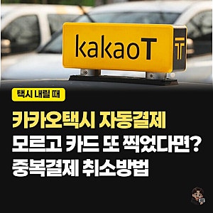카카오택시 이중결제, 자동결제 모르고 카드 또 찍었다면｜환불 문의 방법