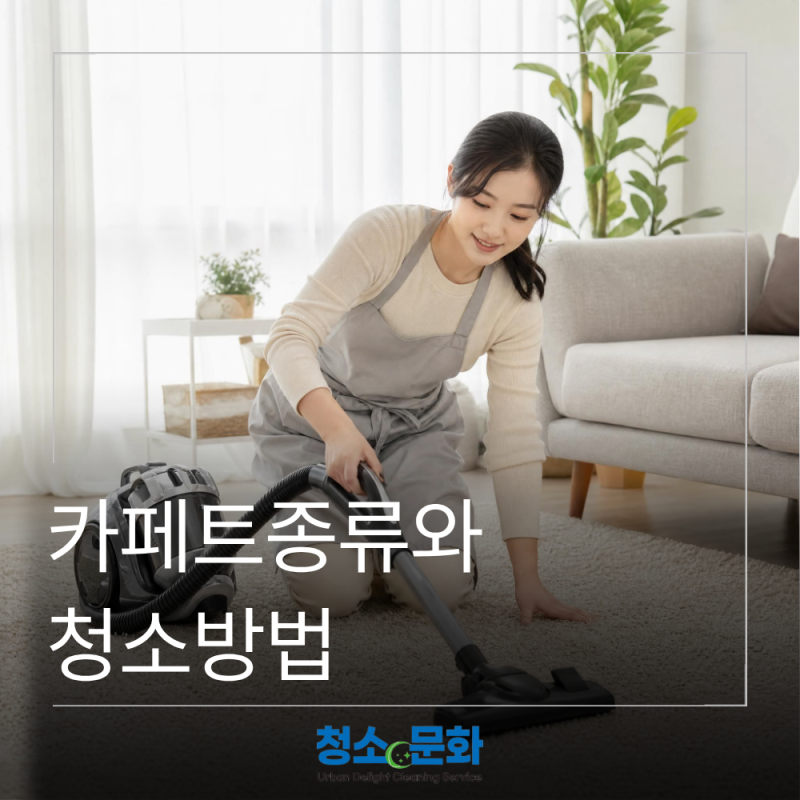 카페트종류는 어떻게 나뉘고, 청소방법은 어떻게 달라질까?