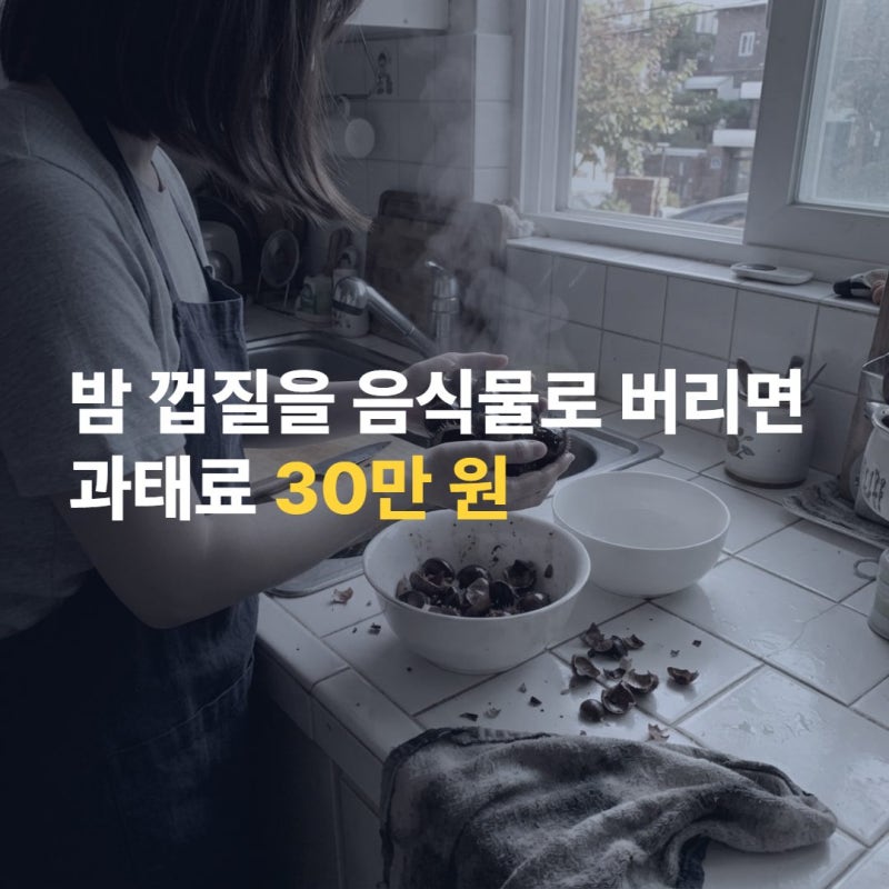 밤 껍질 분리수거 제대로 알고 버리자