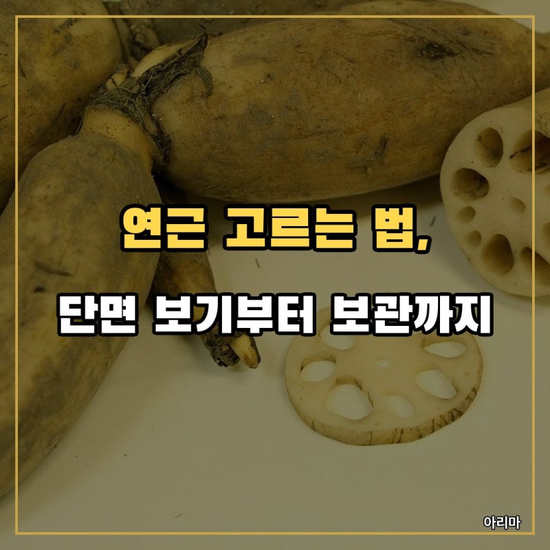 연근 고르는 법, 단면 보기부터 보관까지