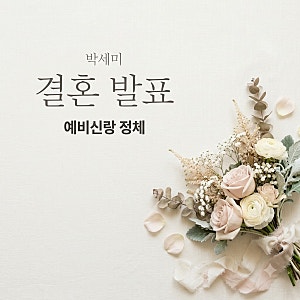 박세미 결혼 발표 예비신랑 정체와 김준연 근황 총정리