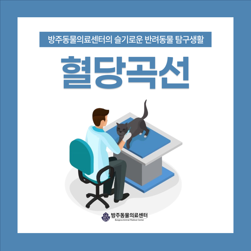 강아지 고양이 당뇨 관리 포인트 혈당곡선과 임상징후 │ 강동구 성내동 둔촌동 방주동물의....