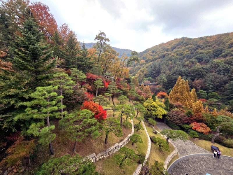 곤지암리조트 화담숲 패키지 모노레일 셔틀 숙박